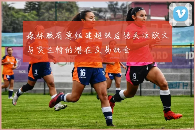 森林狼有意组建超级后场关注欧文与莫兰特的潜在交易机会