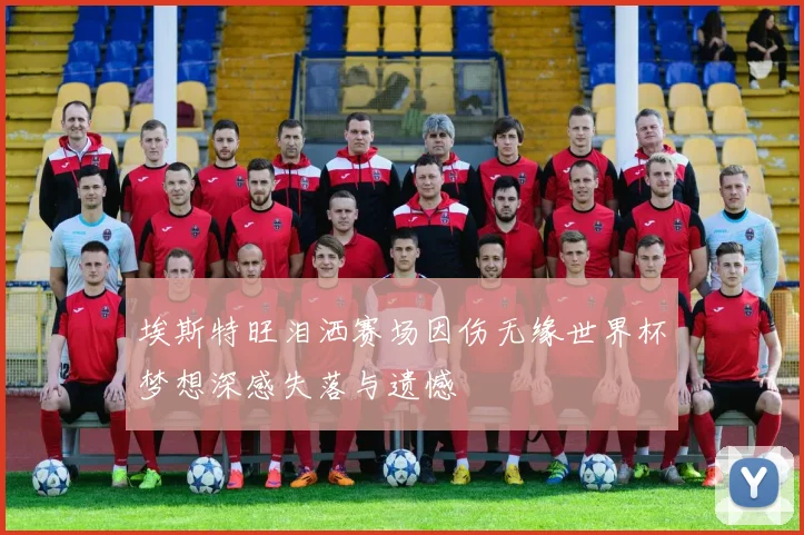 埃斯特旺泪洒赛场因伤无缘世界杯梦想深感失落与遗憾